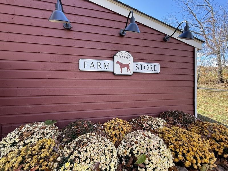 Carved Red Dog Farm Store sign with a painted dog silhouette mounted on a red barn wall